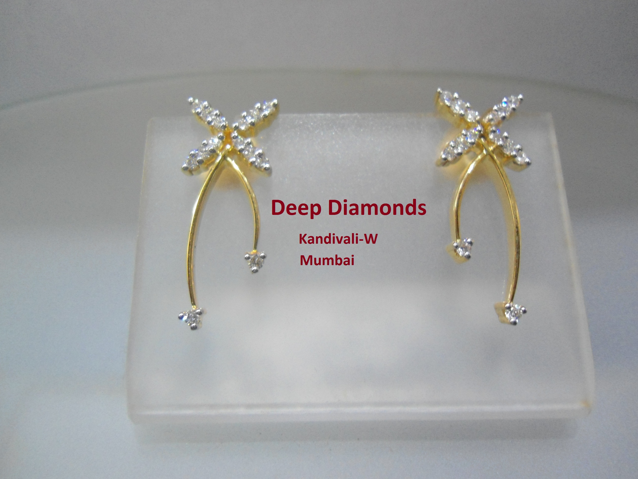 Ear Rings